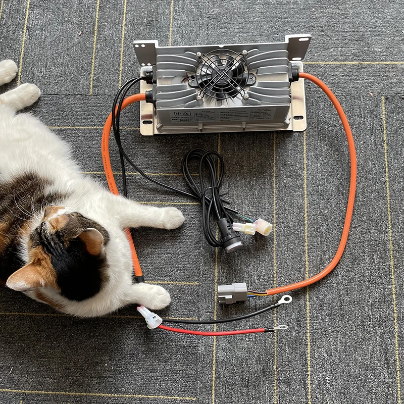 24V 48V 60V 72V 80V 84V 100.8V - 72V 15A Fast Charger 리뷰 및 가격
